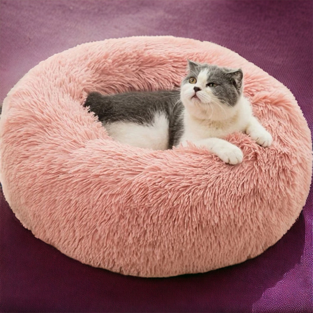 Pink Furry Cat Bet