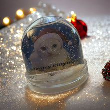 Load image into Gallery viewer, Bowie Snowglobe
