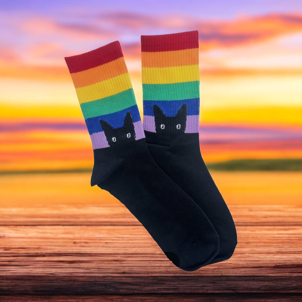 Pride Cat Rainbow Socks