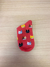 Load image into Gallery viewer, Cat Socks C
