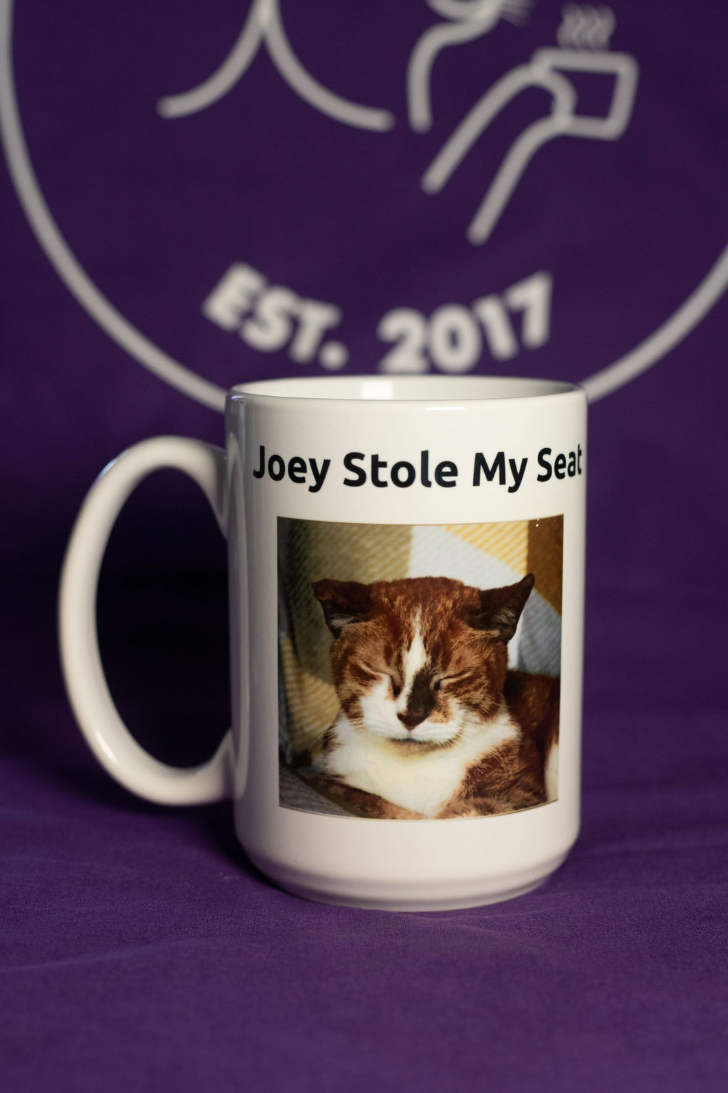 Joey Stole My Seat XL Mug